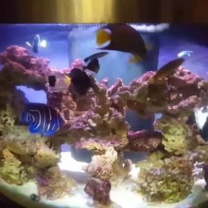 Meet your Posher, Bill